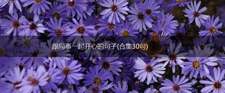 跟同事一起开心的句子(合集30句),第1张