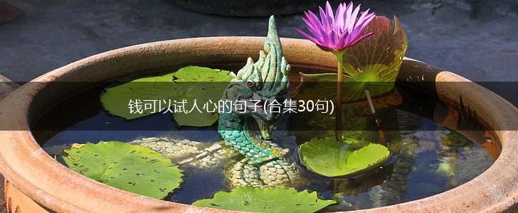 钱可以试人心的句子(合集30句),第1张