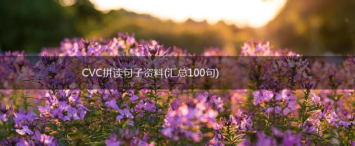 CVC拼读句子资料(汇总100句),第1张