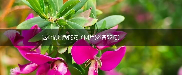 这心情烦躁的句子图片(必备52句),第1张