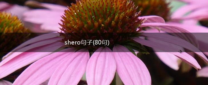 shero句子(80句),第1张