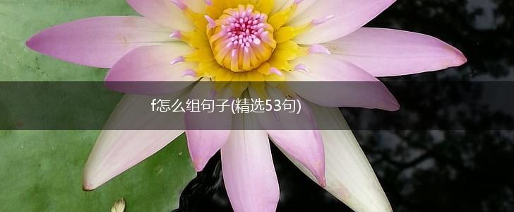 f怎么组句子(精选53句),第1张