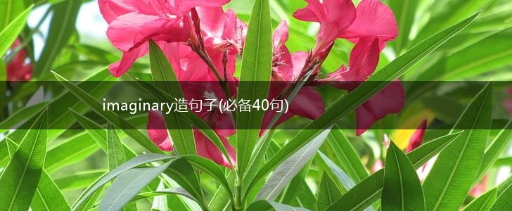 imaginary造句子(必备40句),第1张