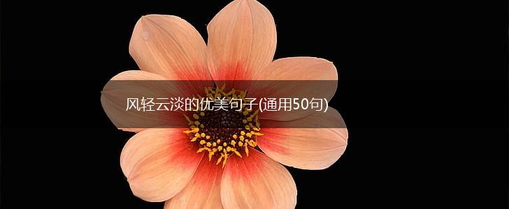 风轻云淡的优美句子(通用50句),第1张
