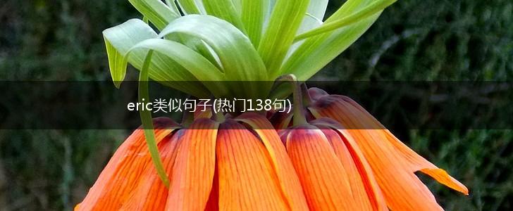 eric类似句子(热门138句),第1张