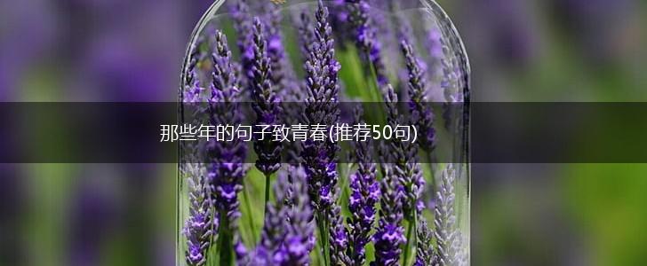 那些年的句子致青春(推荐50句),第1张