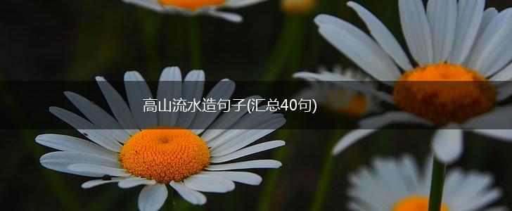 高山流水造句子(汇总40句),第1张