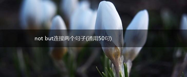 not but连接两个句子(通用50句),第1张