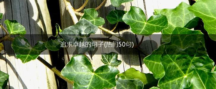 追求卓越的句子(热门50句),第1张