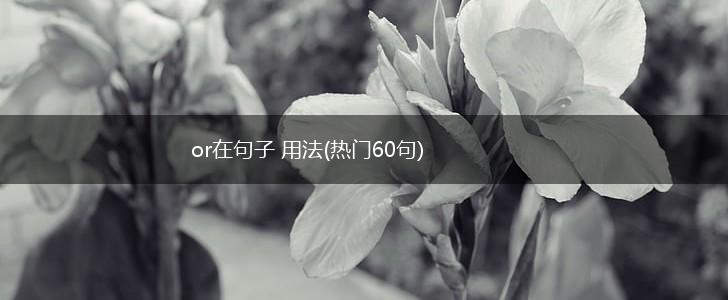 or在句子 用法(热门60句),第1张