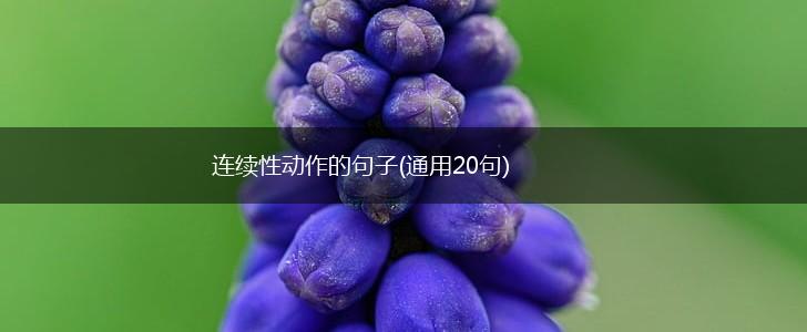 连续性动作的句子(通用20句),第1张