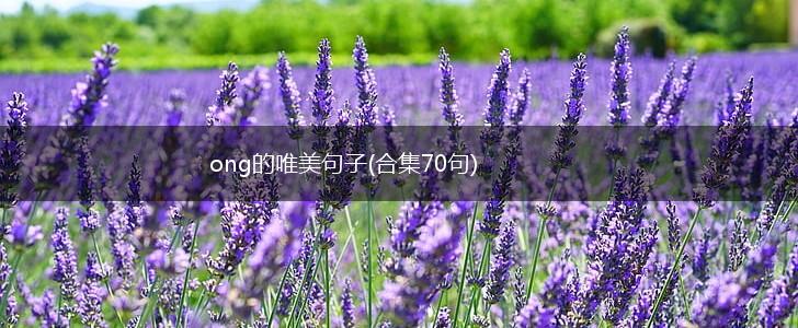 ong的唯美句子(合集70句),第1张