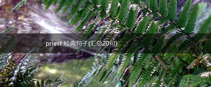 priest 经典句子(汇总20句),第1张