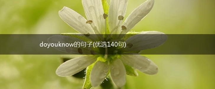 doyouknow的句子(优选140句),第1张