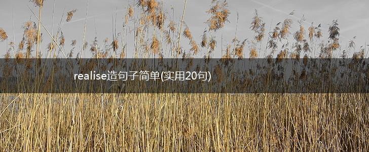 realise造句子简单(实用20句),第1张