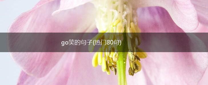 go笑的句子(热门80句),第1张