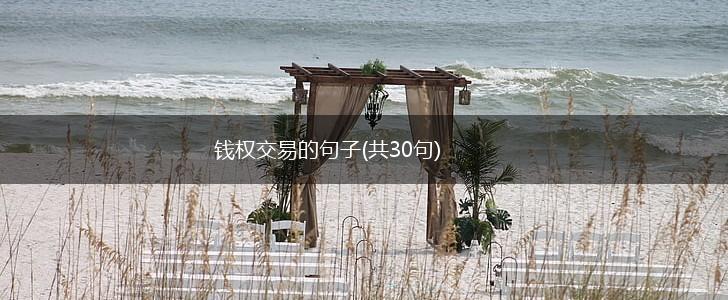 钱权交易的句子(共30句),第1张