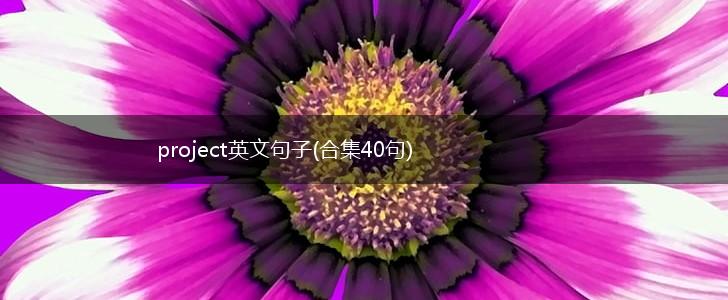 project英文句子(合集40句),第1张
