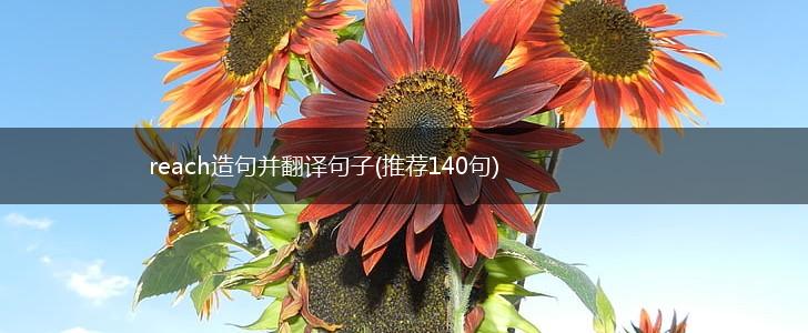 reach造句并翻译句子(推荐140句),第1张