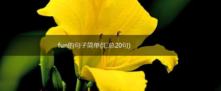 fun的句子简单(汇总20句),第1张