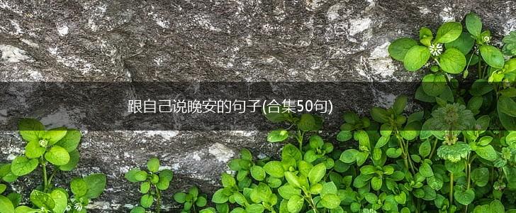 跟自己说晚安的句子(合集50句),第1张