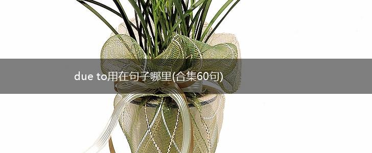 due to用在句子哪里(合集60句),第1张