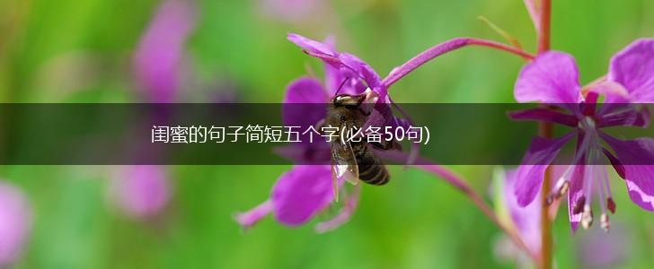 闺蜜的句子简短五个字(必备50句),第1张