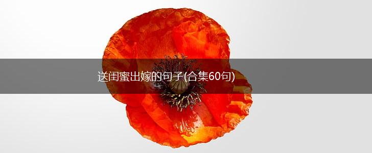送闺蜜出嫁的句子(合集60句),第1张