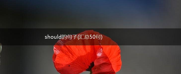 should的句子(汇总50句),第1张