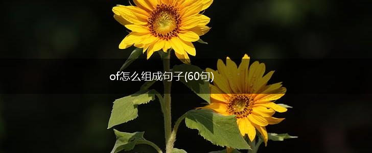 of怎么组成句子(60句),第1张