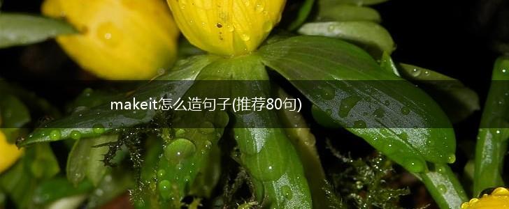 makeit怎么造句子(推荐80句),第1张