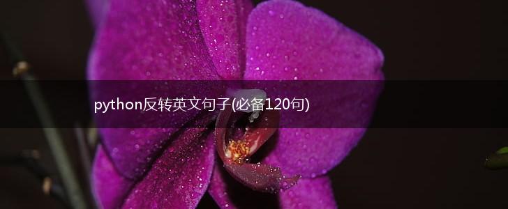 python反转英文句子(必备120句),第1张