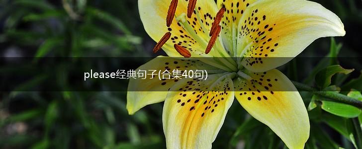 please经典句子(合集40句),第1张