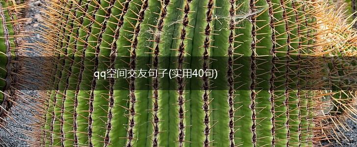 qq空间交友句子(实用40句),第1张