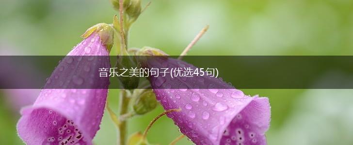 音乐之美的句子(优选45句),第1张