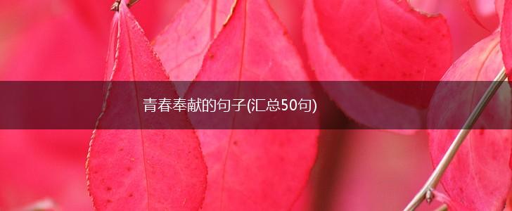 青春奉献的句子(汇总50句),第1张