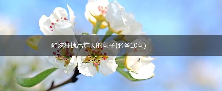 酷炫狂拽吊炸天的句子(必备10句),第1张