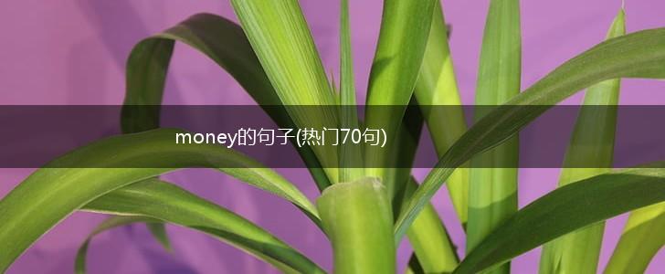 money的句子(热门70句),第1张