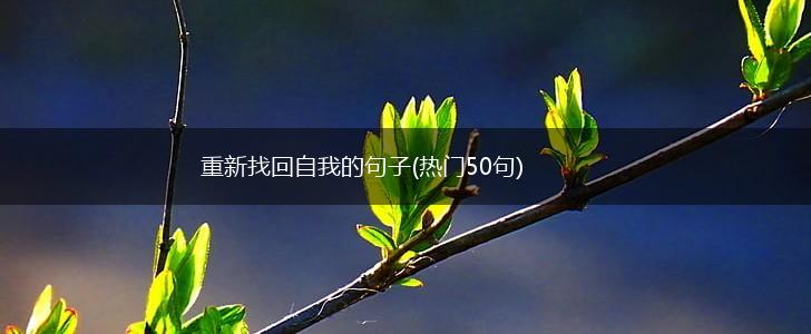 重新找回自我的句子(热门50句),第1张