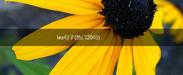 les句子(热门20句),第1张