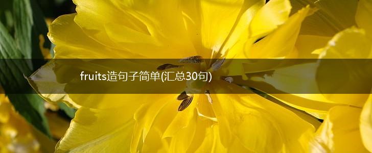 fruits造句子简单(汇总30句),第1张