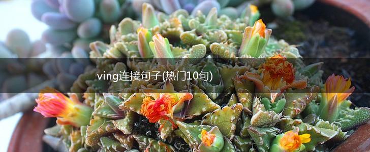 ving连接句子(热门10句),第1张
