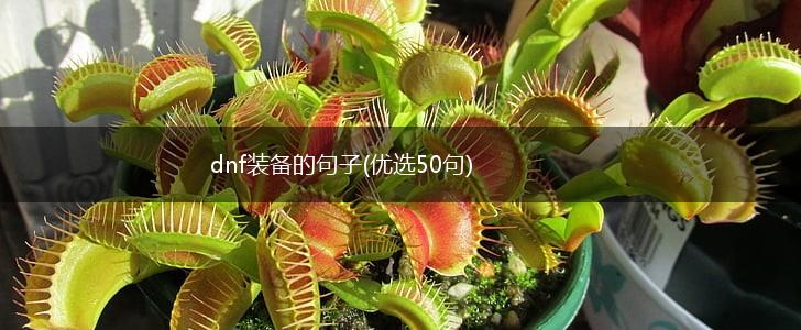 dnf装备的句子(优选50句),第1张