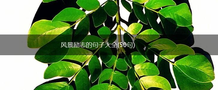 风景励志的句子大全(50句),第1张