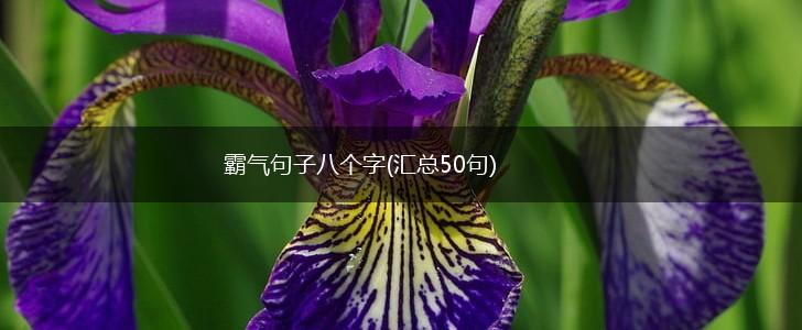 霸气句子八个字(汇总50句),第1张