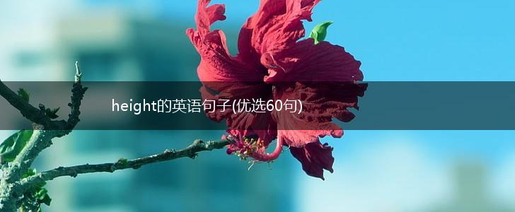height的英语句子(优选60句),第1张