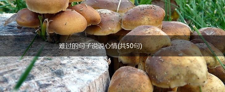 难过的句子说说心情(共50句),第1张