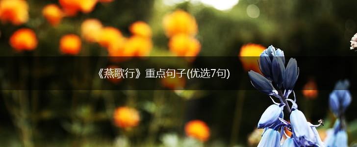 《燕歌行》重点句子(优选7句),第1张
