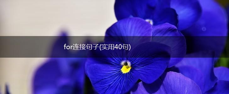 for连接句子(实用40句),第1张
