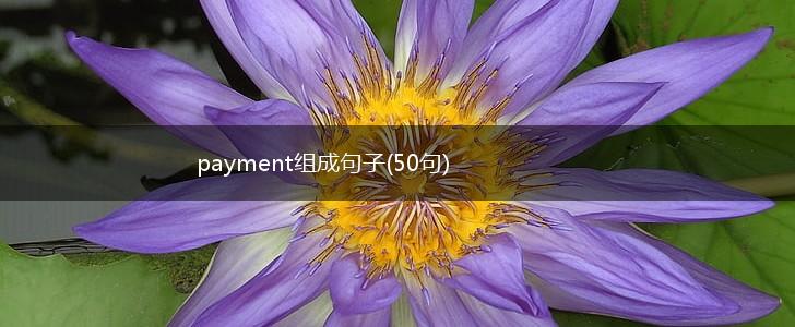 payment组成句子(50句),第1张